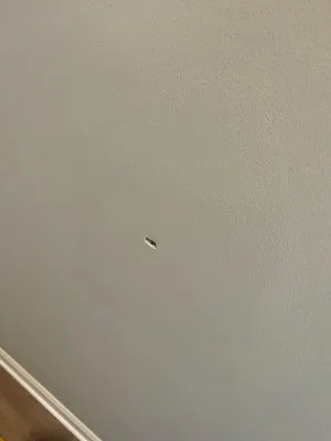 Local Motion